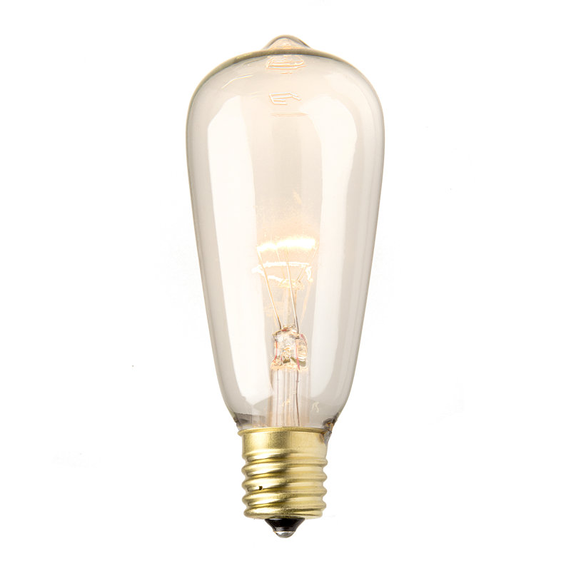 Darice 7W E12 Incandescent Light Bulb Wayfair.ca